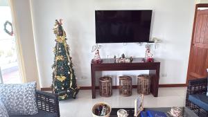 a living room with a christmas tree and a tv at Luxury Penthouse, Beachfront, Nilaveli in Trincomalee