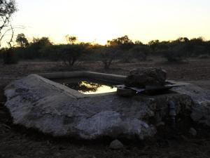 una gran piedraificialificialificialificialificialificialificialificialificialificialificialificialificialificialificialificialificial en The Beehive Cabin, en Rhenosterfontein