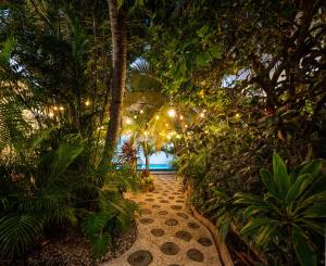 ein Weg in einem Garten mit Bäumen und Lichtern in der Unterkunft Hotel Caracol Isla Mujeres in Isla Mujeres