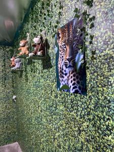 Zvířata v kempu nebo okolí