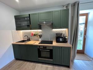 Appartement 4 personnes في أوربي: مطبخ مع دواليب خضراء ومغسلة