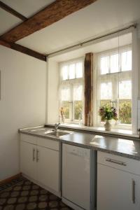 Køkken eller tekøkken på Ferienhaus mit Elbblick + 7 billeder