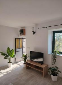 KatuniSun and Stone Cottage的客厅配有平面电视和盆栽植物 更多6张照片