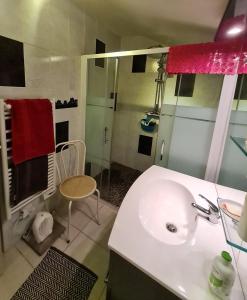 a bathroom with a sink and a shower at La Jinquette in Lantéfontaine