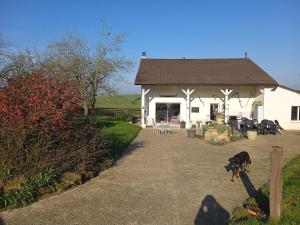 a white house with a dog standing in front of it at La Jinquette in Lantéfontaine