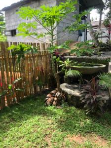 a garden with a fence and a small tree at Chill corner in Ahangama