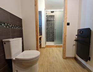 a bathroom with a toilet and a walk in shower at Chambre 1, La Perpontaise in Boismont