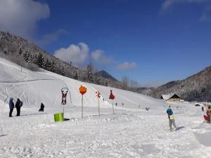 Un grupo de personas en una pista de esquí cubierta de nieve en Pension Wald, en Faistenau