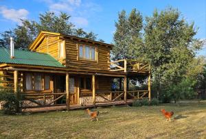 two chickens standing in front of a log cabin at Sommerwind Cabañas in La Estancia +13 photos