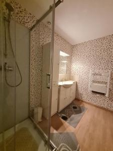 un baño con ducha y lavabo en Les Glycines, en Choloy