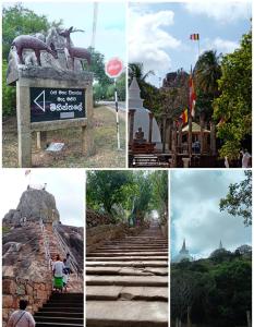Un collage de fotos con un cartel y escaleras. en Hotel Galaxy, en Minneriya