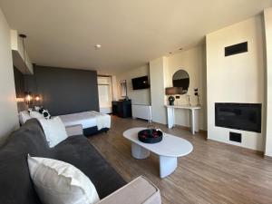 a living room with a couch and a bed and a tv at Evita BelleVue in Arachova