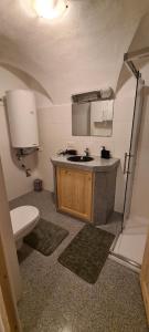 Un baño pequeño con lavabo e inodoro. en ALTSTADT-Apartmenthaus BOGENSPERGER, en Braunau am Inn