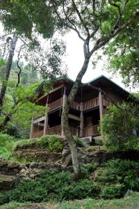 Здание лоджа