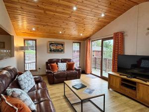 TV a/nebo společenská místnost v ubytování Woodpecker Lodge with Hot Tub