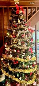 Fotografie z fotogalerie ubytování Casablanca Vacation House Sea View Pet OK Billiards カサブランカ 海の見える ペット可 ビリヤード 本部町 v destinaci Motobu