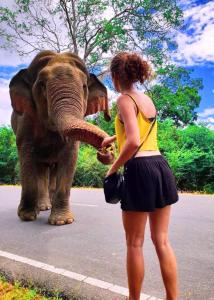 Động vật gần/tại căn hộ