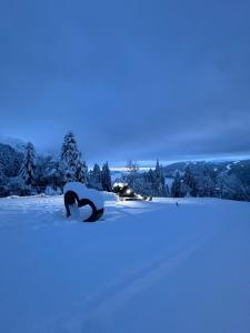 Appartamenti al Parco في مولفينو: دب قطبي مستلقٍ على الثلج