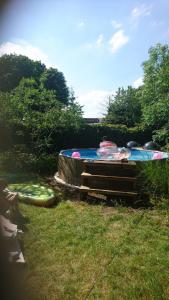 a group of surfboards sitting on the grass at Villa West heaven Valley Gent in Ghent