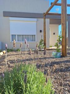 En have udenfor COMPLEJO PATAGONIA AZUL + 17 billeder