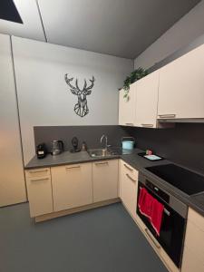 Kuchyň nebo kuchyňský kout v ubytování Weiskopf