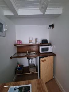 Chez Marilou في Arcens: مطبخ مع حوض وميكروويف على المنضدة