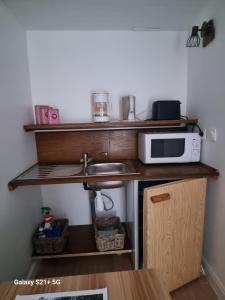 Chez Marilou في Arcens: مطبخ مع حوض وميكروويف على رف