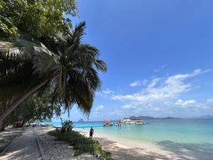 a palm tree on a beach with boats in the water at Mook Heaven Bungalow in Ko Mook
