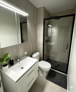 a bathroom with a toilet and a sink and a shower at Cozy studio avec balcon aux portes de Genève in Ambilly