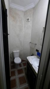 Un baño pequeño con inodoro y lavabo. en Riad Des Artistes, en Oulad Akkou