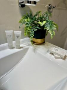 einer Topfpflanze auf einem Waschbecken im Bad in der Unterkunft Cez A-Frame in Petroşani + 35 Fotos