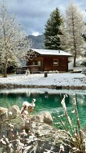 une cabane en rondins dans la neige avec une piscine d'eau dans l'établissement Relax in Baita di montagna!, à Pieve di Cadore