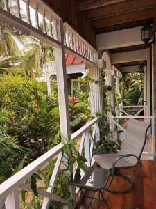 Caye Caulker Boutique Guesthouse 4 في كاي كولكر: شرفة عليها كرسيين ونباتات