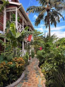 Caye Caulker Boutique Guesthouse 5 في كاي كولكر: منتجع به مسار يؤدي إلى مبنى