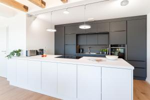 a white kitchen with black cabinets and white counter tops at Gollings am See Loft-Suite in Bosau