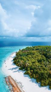 Peisaj natural din apropierea acestui apartament