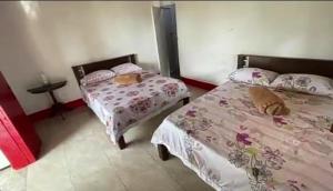 Postel nebo postele na pokoji v ubytování Finca Madre Monte + 4 fotografie