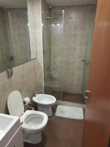 Mono frente al sanatorio de la mujer في روزاريو: حمام مع دش ومرحاض ومغسلة