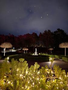 Κήπος έξω από το Vila Komoda