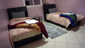 Fotografie z fotogalerie ubytování Hotel adrar v destinaci Tafraout