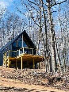 ein Haus mit einer großen Terrasse im Wald in der Unterkunft Camp Carter Nordic House in Mathias + 10 Fotos