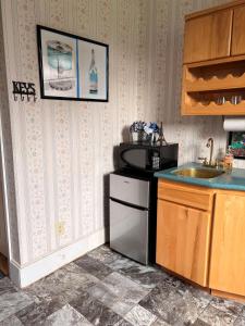 Kuchyň nebo kuchyňský kout v ubytování Graystone Manor