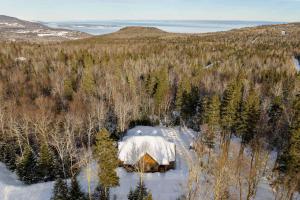 an aerial view of a cabin in a forest with snow at L'ours de Charlevoix - Chalet proche du Massif avec spa in Petite-Rivière-Saint-François