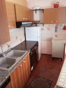 Una pequeña cocina con fregadero y refrigerador. en Casa vacanze Ginevra Sardegna, en Fluminimaggiore