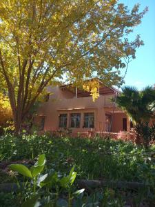 a house with a tree in front of it at Palmas Magramane in Oulad el Guern