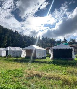 un grupo de tiendas de campaña en un campo bajo un cielo nublado en Oak Valley Camp, en Mussoorie