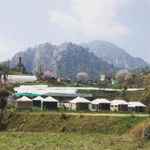 un grupo de tiendas de campaña en un campo con montañas en el fondo en Oak Valley Camp, en Mussoorie