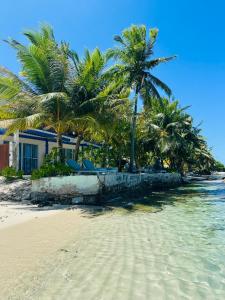 Nautical Nook Maldives في Kendhoo: شاطئ به أشجار نخيل وكراسي في الماء