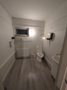 罗瓦涅米Santa's indoor Camping Hostel的一间带马桶和洗手池的小浴室