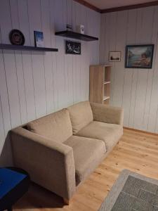 Traditional Finnish Lapland house at wild forest backyard! في كيمي: غرفة معيشة مع أريكة وأرضيات خشبية